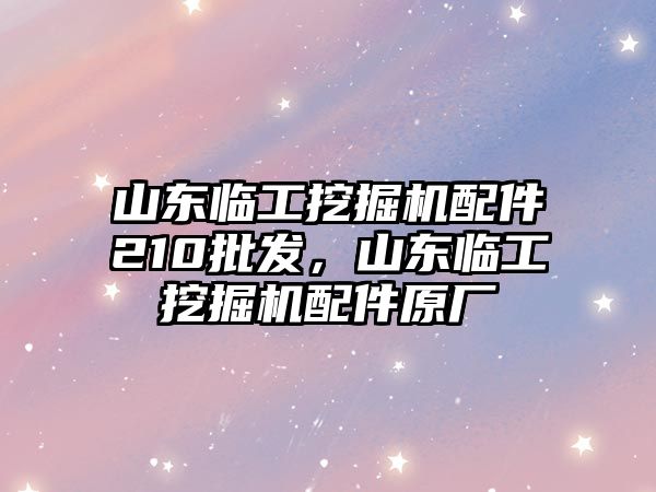 山東臨工挖掘機(jī)配件210批發(fā)，山東臨工挖掘機(jī)配件原廠