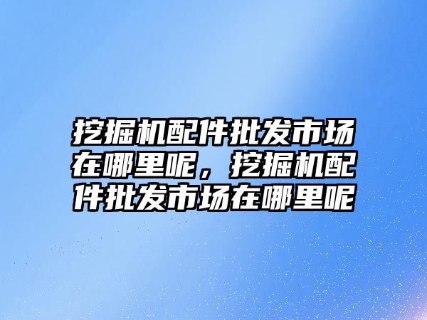 挖掘機配件批發(fā)市場在哪里呢，挖掘機配件批發(fā)市場在哪里呢