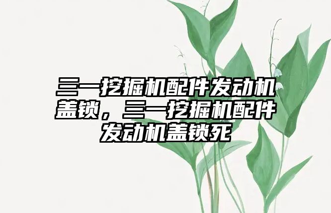 三一挖掘機配件發(fā)動機蓋鎖，三一挖掘機配件發(fā)動機蓋鎖死