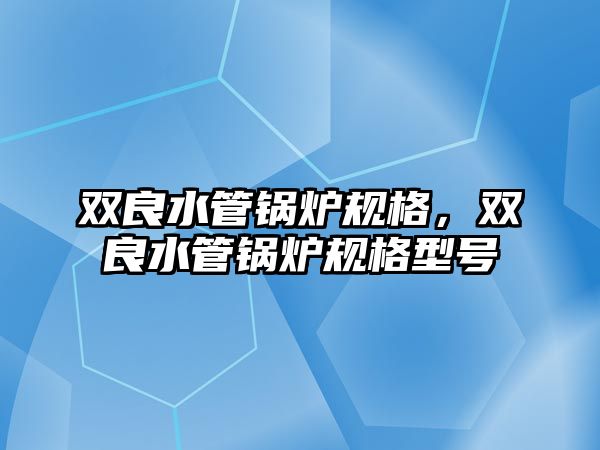 雙良水管鍋爐規(guī)格，雙良水管鍋爐規(guī)格型號(hào)