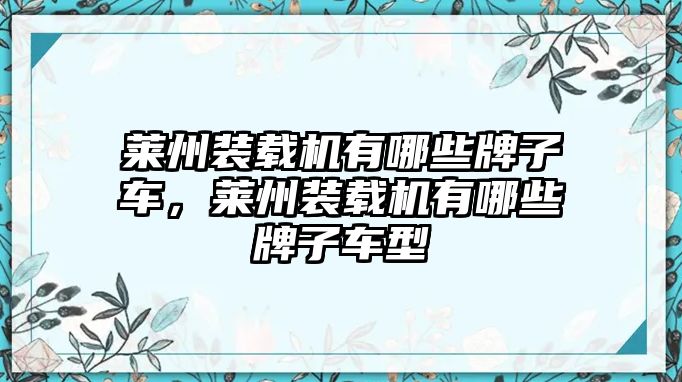 萊州裝載機(jī)有哪些牌子車，萊州裝載機(jī)有哪些牌子車型