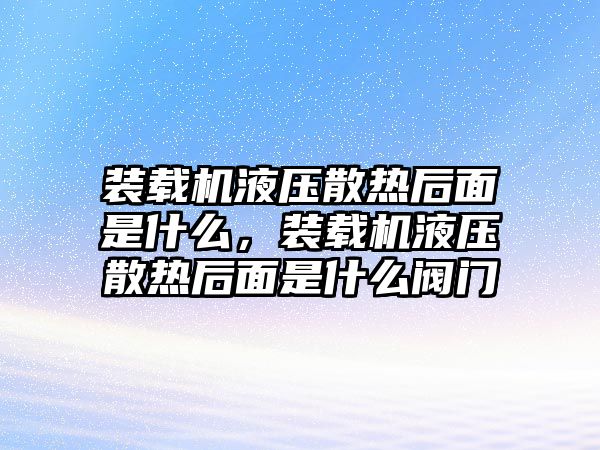 裝載機(jī)液壓散熱后面是什么，裝載機(jī)液壓散熱后面是什么閥門