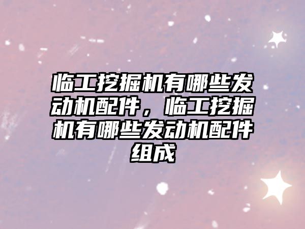 臨工挖掘機有哪些發(fā)動機配件，臨工挖掘機有哪些發(fā)動機配件組成