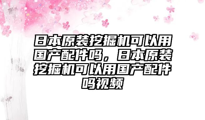 日本原裝挖掘機可以用國產(chǎn)配件嗎，日本原裝挖掘機可以用國產(chǎn)配件嗎視頻