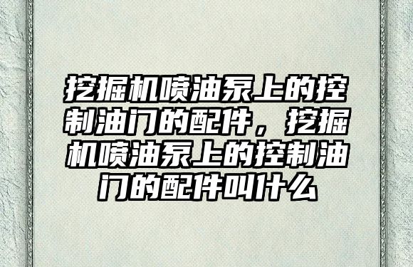 挖掘機噴油泵上的控制油門的配件，挖掘機噴油泵上的控制油門的配件叫什么