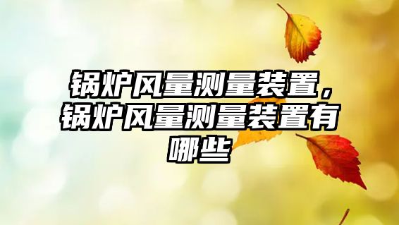 鍋爐風(fēng)量測量裝置，鍋爐風(fēng)量測量裝置有哪些