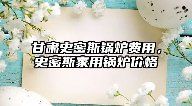 甘肅史密斯鍋爐費(fèi)用，史密斯家用鍋爐價格