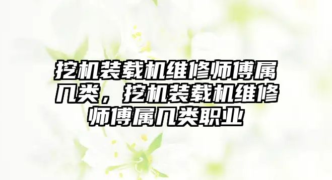 挖機裝載機維修師傅屬幾類，挖機裝載機維修師傅屬幾類職業(yè)