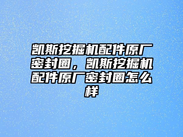 凱斯挖掘機配件原廠密封圈，凱斯挖掘機配件原廠密封圈怎么樣