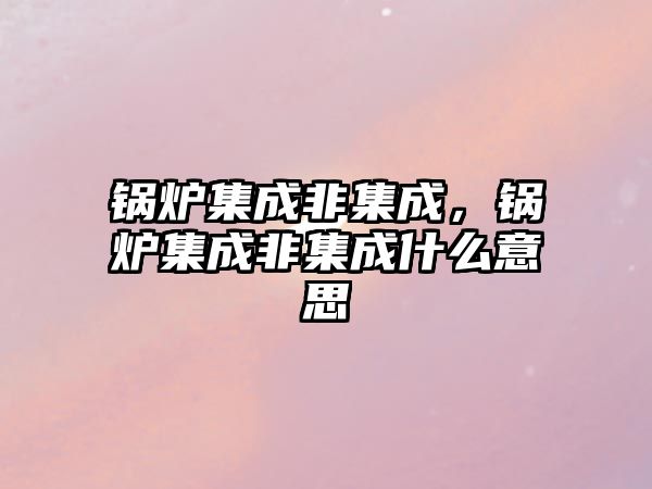 鍋爐集成非集成，鍋爐集成非集成什么意思