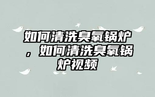 如何清洗臭氧鍋爐，如何清洗臭氧鍋爐視頻