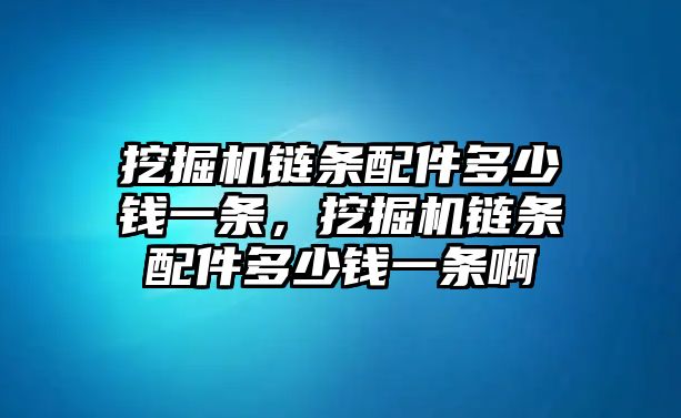 挖掘機鏈條配件多少錢一條，挖掘機鏈條配件多少錢一條啊