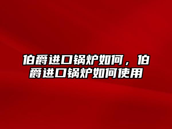 伯爵進口鍋爐如何，伯爵進口鍋爐如何使用