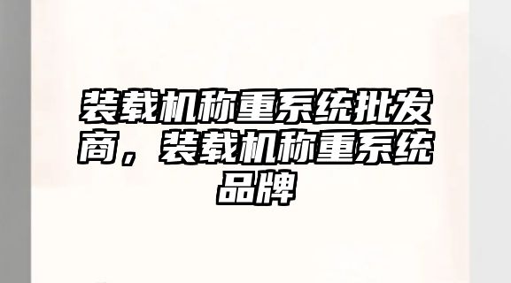 裝載機(jī)稱(chēng)重系統(tǒng)批發(fā)商，裝載機(jī)稱(chēng)重系統(tǒng)品牌