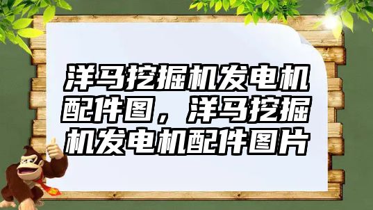 洋馬挖掘機發(fā)電機配件圖，洋馬挖掘機發(fā)電機配件圖片