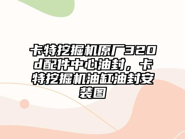 卡特挖掘機原廠320d配件中心油封，卡特挖掘機油缸油封安裝圖