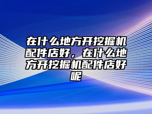 在什么地方開挖掘機配件店好，在什么地方開挖掘機配件店好呢