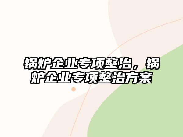 鍋爐企業(yè)專項整治，鍋爐企業(yè)專項整治方案