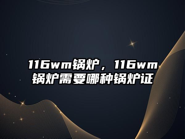 116wm鍋爐，116wm鍋爐需要哪種鍋爐證