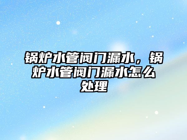 鍋爐水管閥門(mén)漏水，鍋爐水管閥門(mén)漏水怎么處理