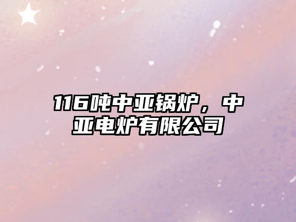 116噸中亞鍋爐，中亞電爐有限公司