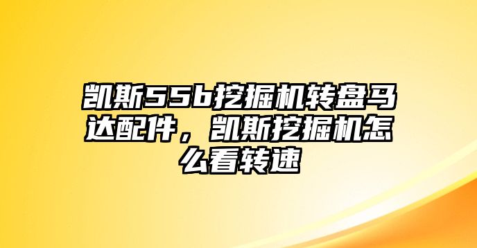 凱斯55b挖掘機(jī)轉(zhuǎn)盤馬達(dá)配件，凱斯挖掘機(jī)怎么看轉(zhuǎn)速