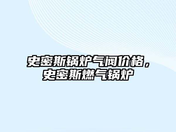 史密斯鍋爐氣閥價格，史密斯燃氣鍋爐