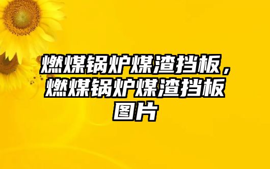 燃煤鍋爐煤渣擋板，燃煤鍋爐煤渣擋板圖片