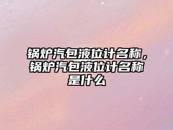 鍋爐汽包液位計名稱，鍋爐汽包液位計名稱是什么