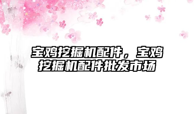 寶雞挖掘機配件，寶雞挖掘機配件批發(fā)市場