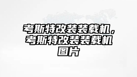 考斯特改裝裝載機，考斯特改裝裝載機圖片