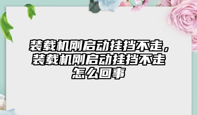 裝載機剛啟動掛擋不走，裝載機剛啟動掛擋不走怎么回事