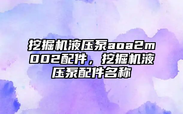 挖掘機液壓泵aoa2m002配件，挖掘機液壓泵配件名稱