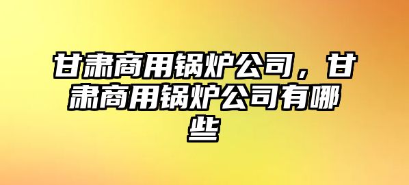 甘肅商用鍋爐公司，甘肅商用鍋爐公司有哪些