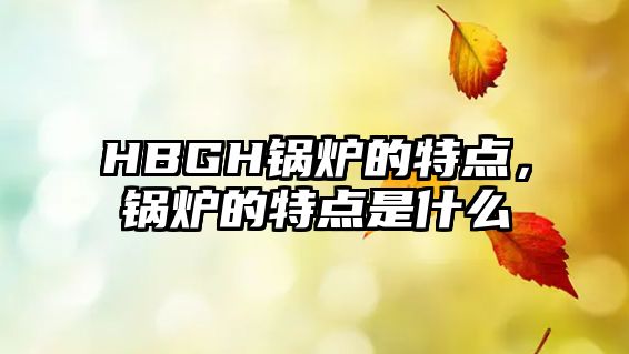 HBGH鍋爐的特點(diǎn)，鍋爐的特點(diǎn)是什么