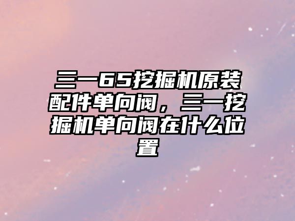 三一65挖掘機(jī)原裝配件單向閥，三一挖掘機(jī)單向閥在什么位置