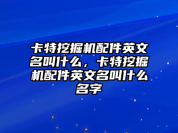 卡特挖掘機(jī)配件英文名叫什么，卡特挖掘機(jī)配件英文名叫什么名字