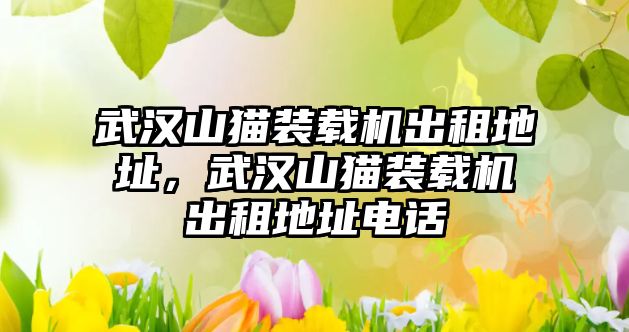 武漢山貓裝載機出租地址，武漢山貓裝載機出租地址電話