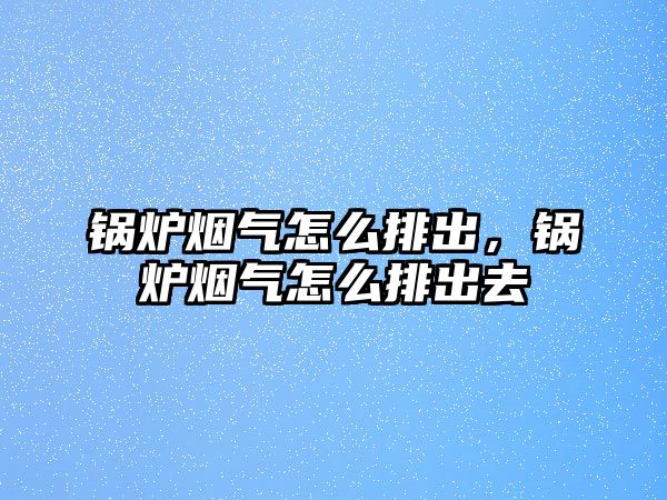 鍋爐煙氣怎么排出，鍋爐煙氣怎么排出去