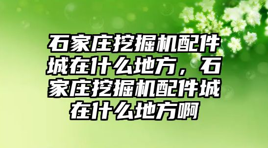 石家莊挖掘機(jī)配件城在什么地方，石家莊挖掘機(jī)配件城在什么地方啊