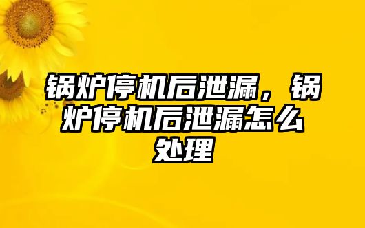 鍋爐停機后泄漏，鍋爐停機后泄漏怎么處理