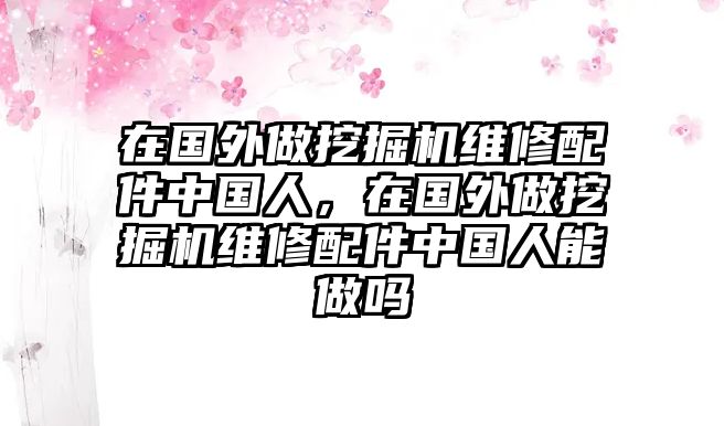 在國外做挖掘機維修配件中國人，在國外做挖掘機維修配件中國人能做嗎