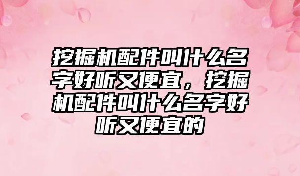 挖掘機配件叫什么名字好聽又便宜，挖掘機配件叫什么名字好聽又便宜的