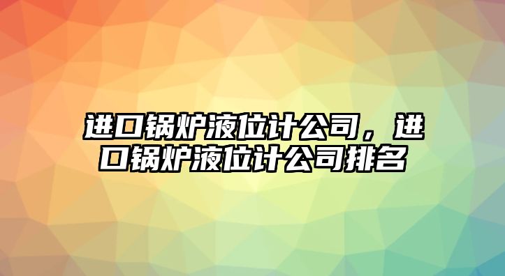 進(jìn)口鍋爐液位計(jì)公司，進(jìn)口鍋爐液位計(jì)公司排名