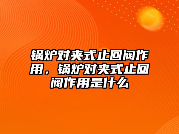 鍋爐對(duì)夾式止回閥作用，鍋爐對(duì)夾式止回閥作用是什么