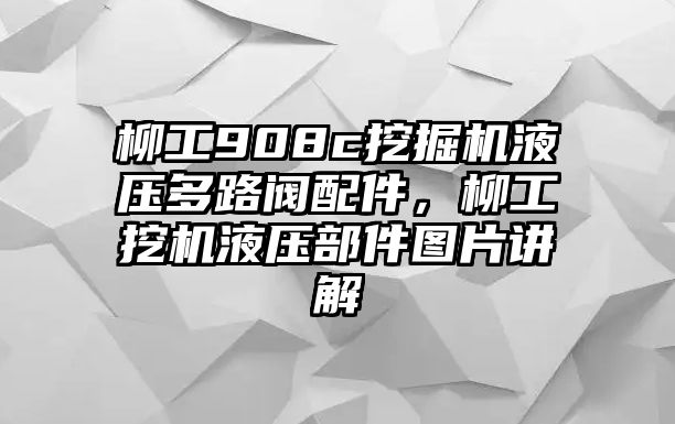 柳工908c挖掘機(jī)液壓多路閥配件，柳工挖機(jī)液壓部件圖片講解