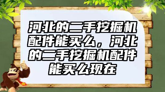 河北的二手挖掘機(jī)配件能買么，河北的二手挖掘機(jī)配件能買么現(xiàn)在