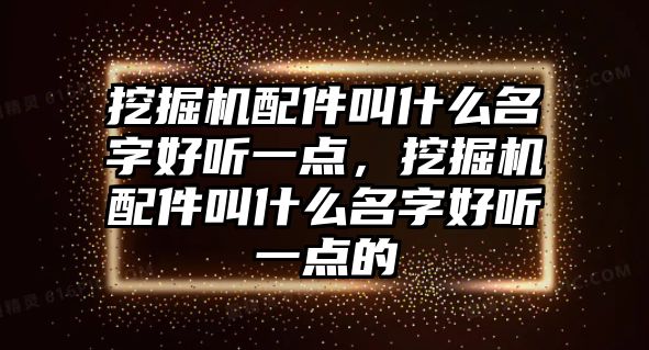 挖掘機配件叫什么名字好聽一點，挖掘機配件叫什么名字好聽一點的