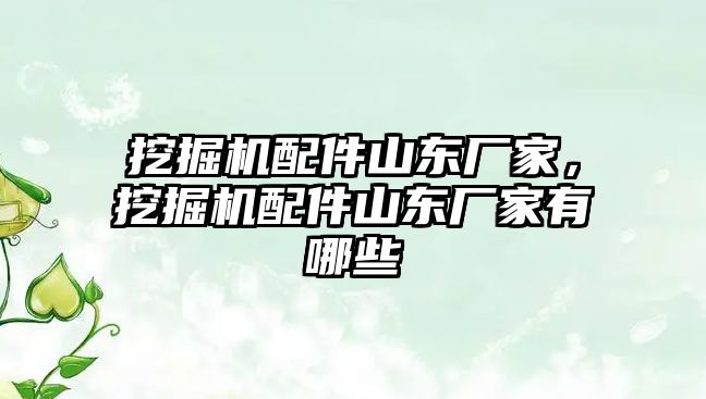 挖掘機配件山東廠家，挖掘機配件山東廠家有哪些