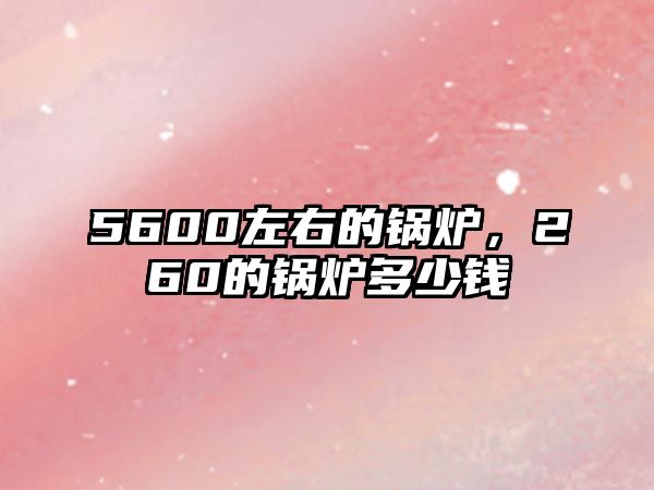 5600左右的鍋爐，260的鍋爐多少錢